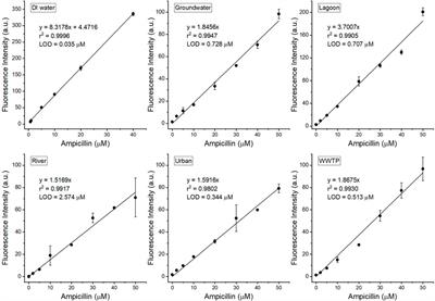 Detection of ampicillin based on the fluorescence of a biocatalytic oxidation product